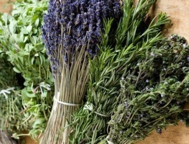 Φαρμακευτικά φυτά: Το χρυσάφι της ελληνικής γης – Οι υπερτροφές της μεσογειακής διατροφής